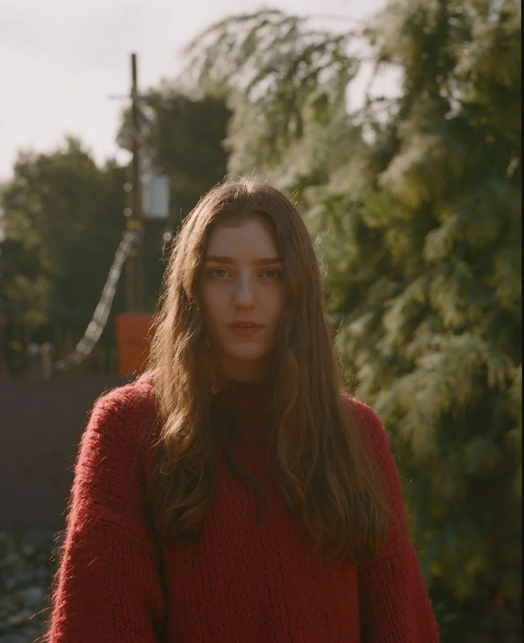 Birdy + Farga