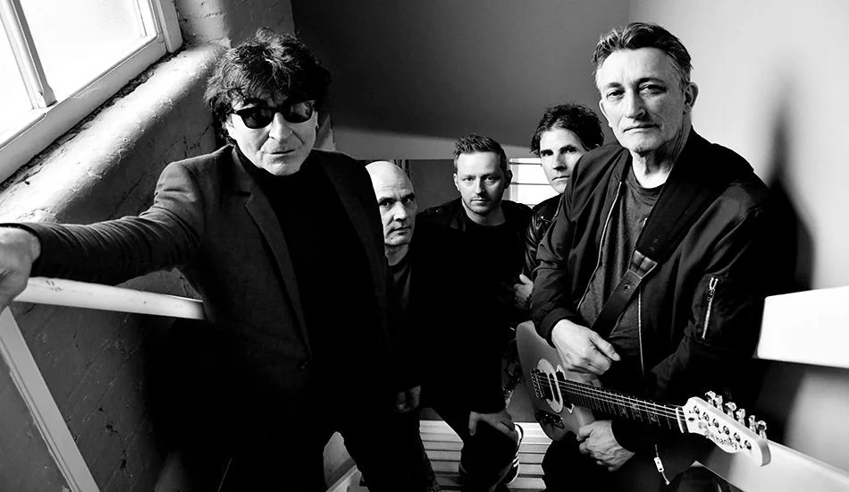 Chameleons